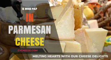 Wood Pulp in Parmesan: The Unwanted Addition