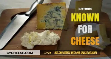 Wyoming's Dairy Legacy: Uncovering Its Cheese Reputation and Culinary Impact