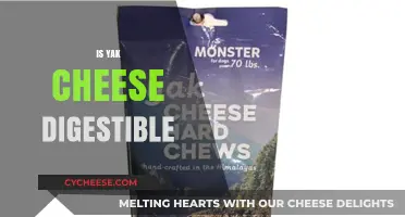 Is Yak Cheese Digestible? Unraveling the Truth for Your Diet