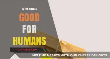 Yak Cheese Benefits: Nutritional Value and Health Impact Explained