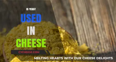 Yeast in Cheese: Is It Necessary?