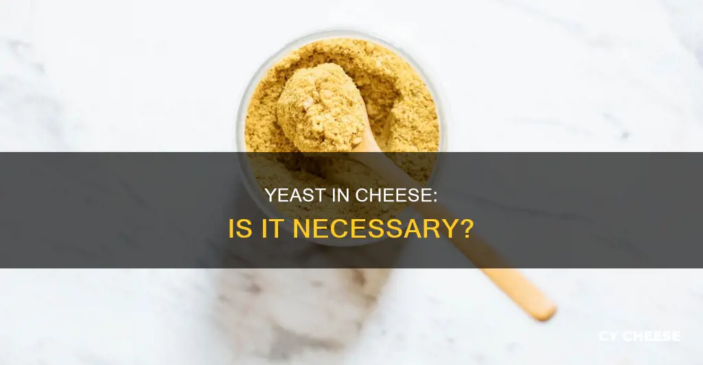 is yeast used in cheese