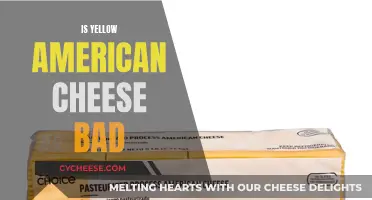 The Truth About Yellow American Cheese