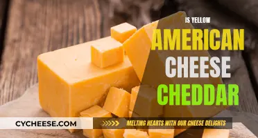 Is Yellow American Cheese Cheddar? Unraveling the Mystery