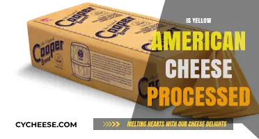 Is Yellow American Cheese Processed? Uncovering the Truth Behind the Slice