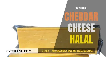 Yellow Cheddar Cheese: Halal or Haram? Unveiling the Truth