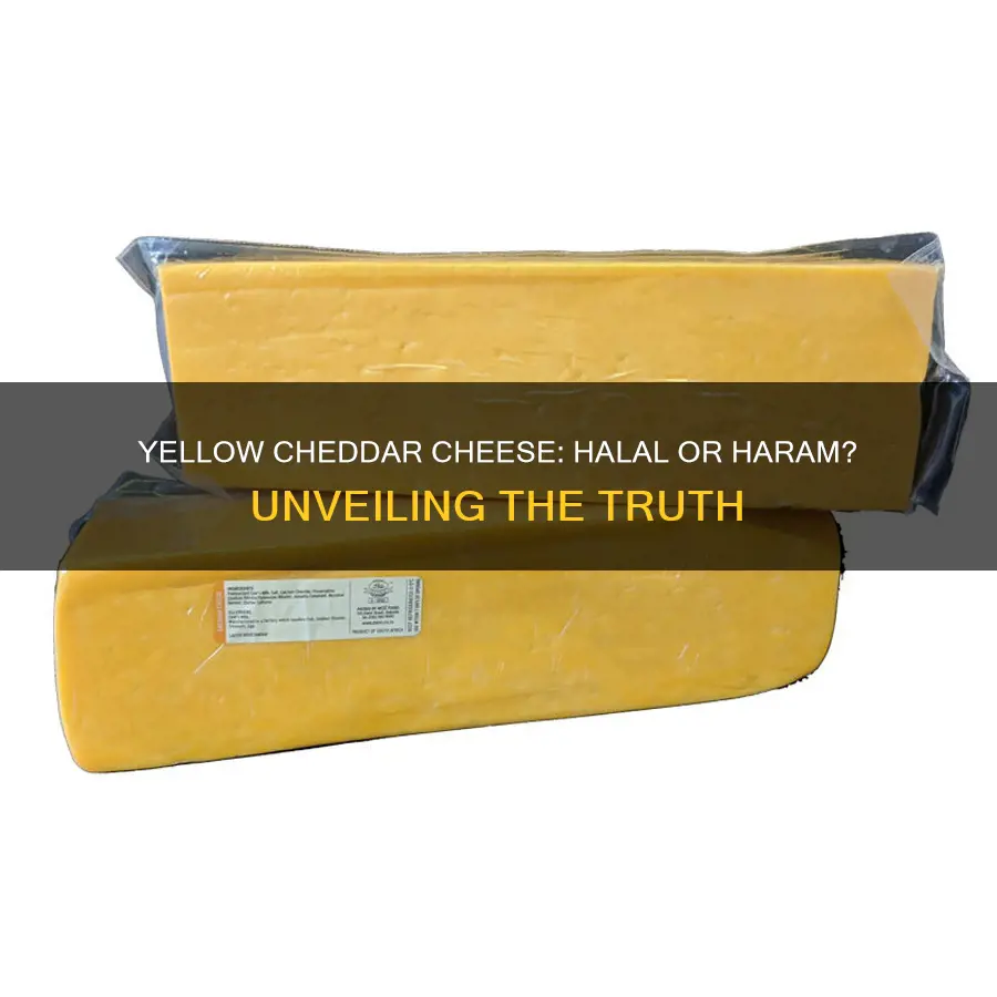 is yellow cheddar cheese halal