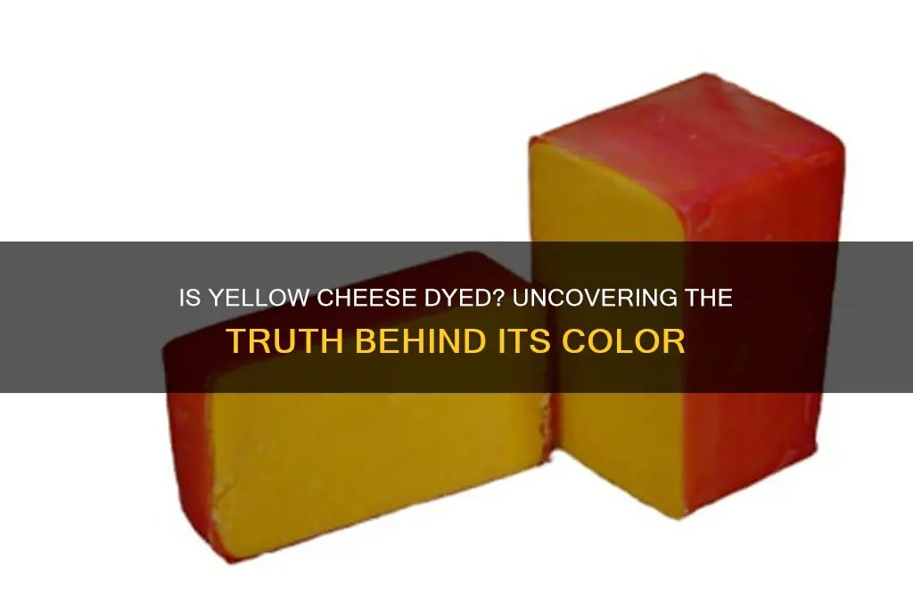 is yellow cheese dyed