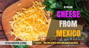 Is Yellow Cheese from Mexico? Unraveling the Origins of a Dairy Delight