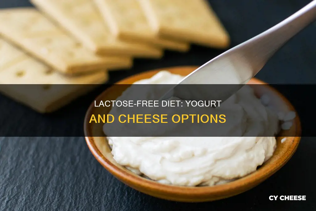 is yogurt and cheese allowed on a lactose free diet