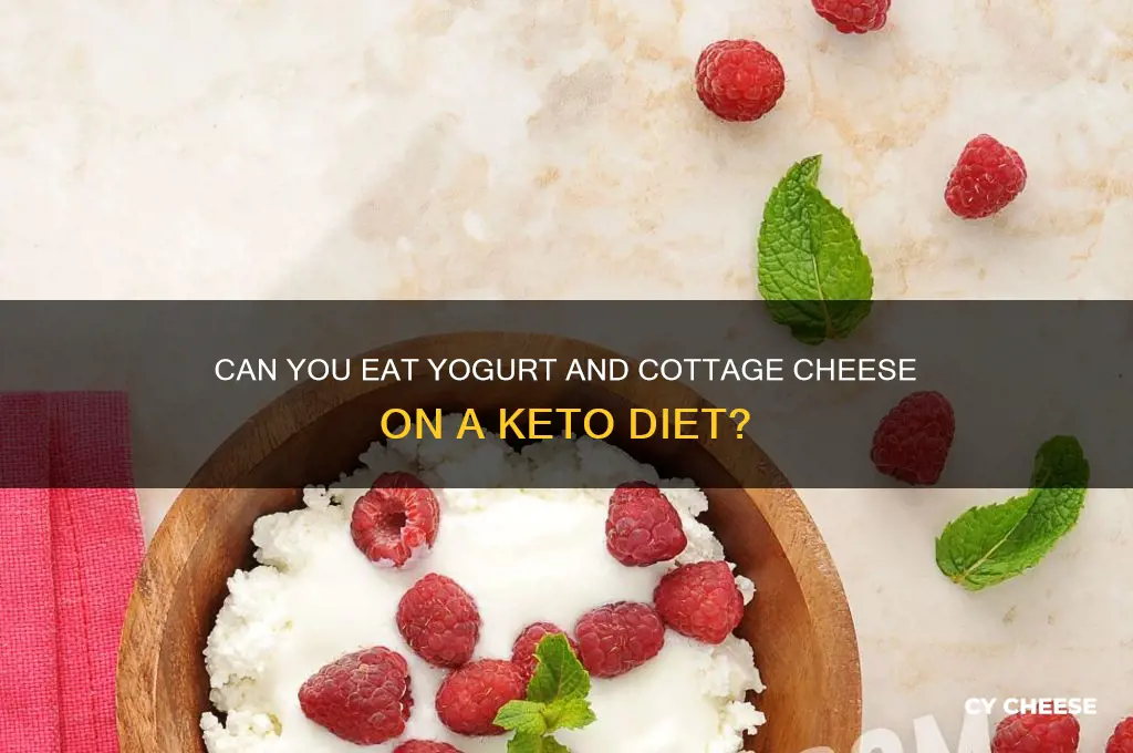 is yogurt and cottage cheese allowed on keto diet