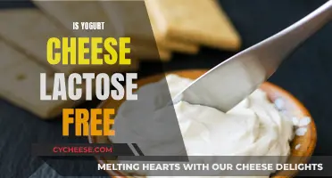 Yogurt Cheese: Lactose-Free Superfood or Not?