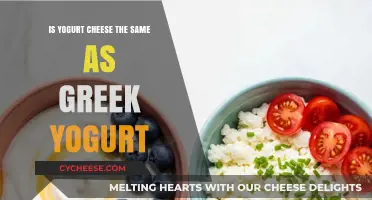 Yogurt Cheese vs. Greek Yogurt: Understanding the Key Differences