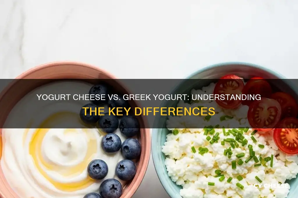 is yogurt cheese the same as greek yogurt