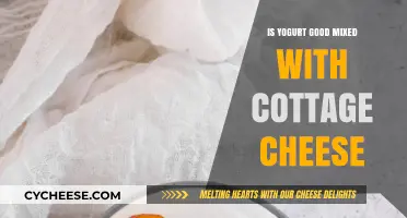Yogurt and Cottage Cheese Blend: Healthy, Tasty, or Both?