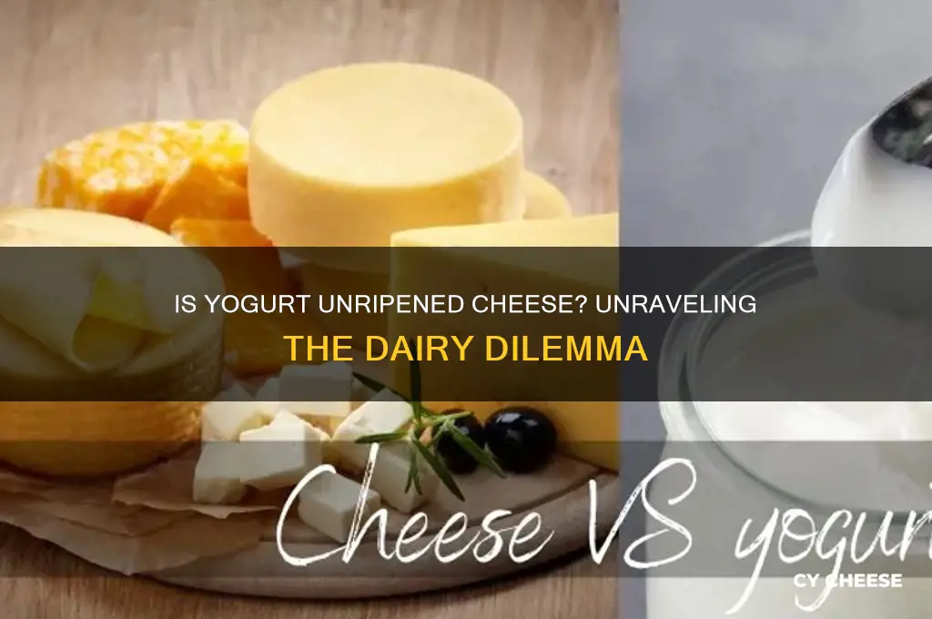is yogurt unripened cheese