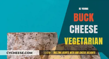 Is Young Buck Cheese Vegetarian? Exploring Ingredients and Dietary Suitability