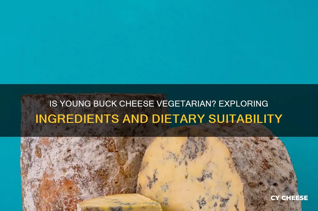 is young buck cheese vegetarian