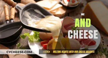 My Cheesy Love Affair: A Personal Journey with Cheese