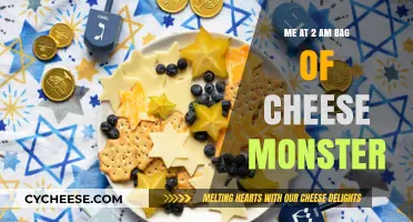 Midnight Snack Confessions: My 2 AM Bag of Cheese Monster Moments