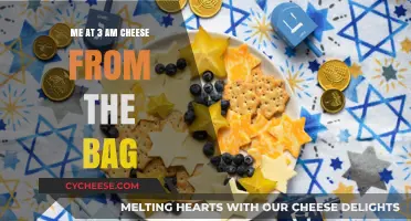 Midnight Snack Confessions: My 3 AM Cheese-from-the-Bag Ritual