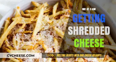 Midnight Snack: Shredded Cheese Adventure