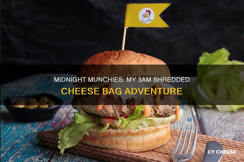 me at 3am shredded cheese from the bag