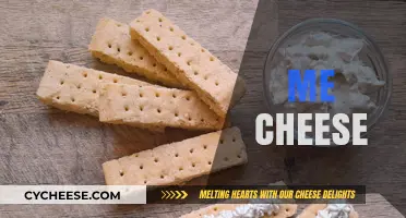 Melting Moments: Exploring the Irresistible World of Me and Cheese