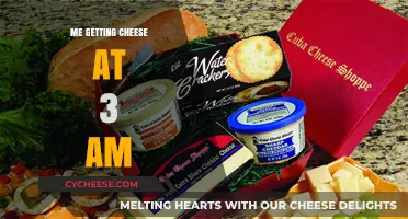 Midnight Cheese Adventure: My 3 AM Snack