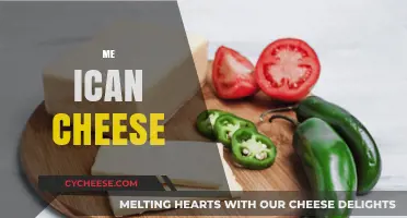 Melt-in-Your-Mouth Magic: Mastering the Art of Mexican Cheese Delights