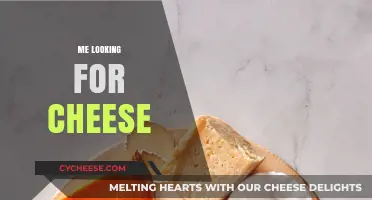 My Endless Quest for the Perfect Cheese: A Tasty Adventure