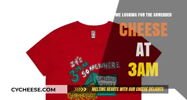 Midnight Cheese Quest: My 3AM Hunt for Shredded Bliss