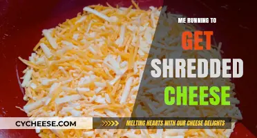 Sprinting for Shredded Cheese: My Frenzied Fitness Journey