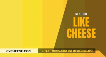 Yellow Cheese: My Skin Tone, My Identity