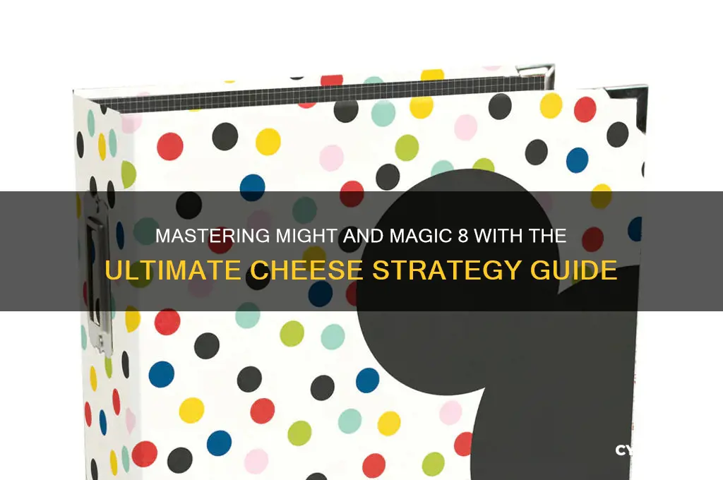 might and magic 8 cheese