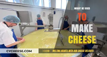 Cheese-Making: The Art of Transforming Milk
