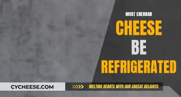 Cheddar Cheese Storage: Fridge or No Fridge?