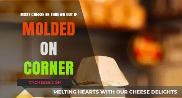 Moldy Cheese Corner: Should You Toss It or Save It?