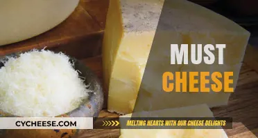 Must-Try Cheese Varieties to Elevate Your Culinary Adventures