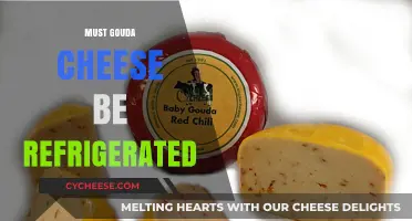 Does Gouda Need Fridge Storage? Uncovering Cheese Preservation Secrets