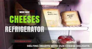 Essential Cheeses Every Fridge Needs for Quick, Delicious Meals