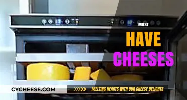 Essential Cheeses Every Cheese Lover Should Have in Their Fridge