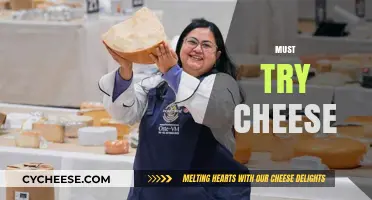 Discover the World's Most Irresistible Must-Try Cheese Varieties