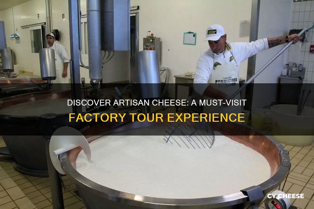 must visit cheese factory tour