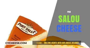 Discover the Rich Flavors of Por Salou Cheese: A Culinary Delight