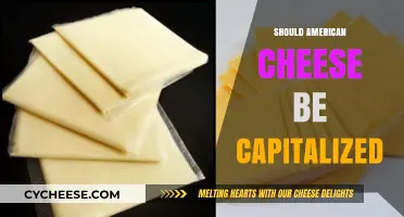 Should American Cheese Be Capitalized? A Grammar and Food Debate