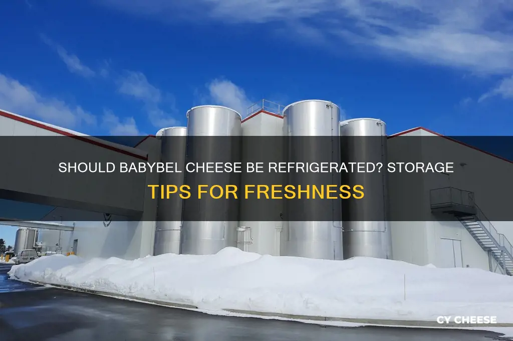 should babybel cheese refrigerate