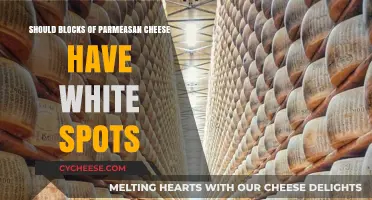Do White Spots on Parmesan Cheese Blocks Indicate Quality or Concern?