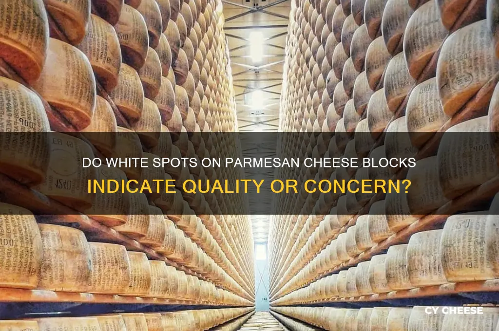 should blocks of parmeasan cheese have white spots