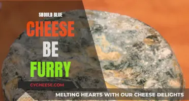 The Fuzzy Facts: Blue Cheese and Fur